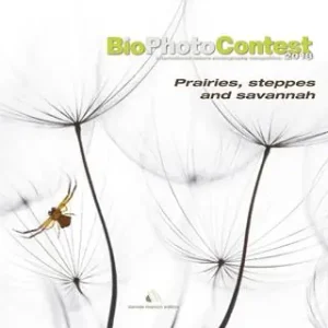 Offerta Speciale BioPhotoContest 2018. Praterie, steppe e savane. Ediz. illustrata