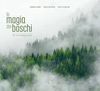 La magia dei boschi del Friuli Venezia Giulia. Ediz. italiana e inglese Esclusivo