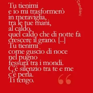 Tu tienimi e io mi trasformerò in meraviglia Super Prezzo
