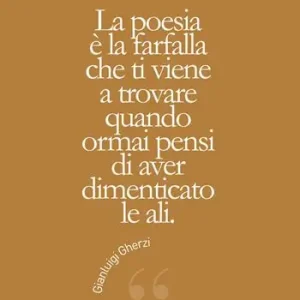 Offerta Del Giorno La poesia è la farfalla che ti viene a trovare quando ormai pensi di aver dimenticato le ali