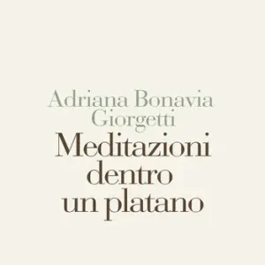 Vendita Finale Meditazioni dentro un platano