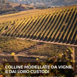 Colline modellate da vigne e dai loro custodi. I 60 anni della Cantina Sociale Barbera dei sei Castelli Nuova Collezione