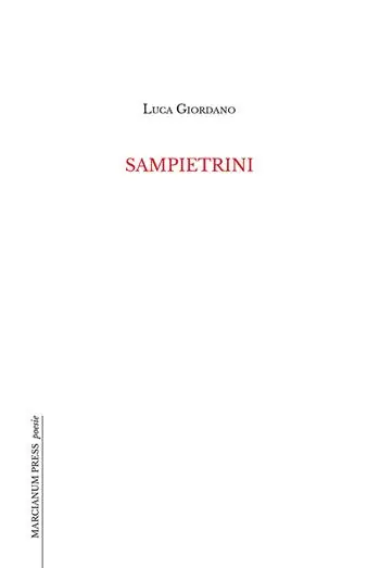 Novità Sampietrini