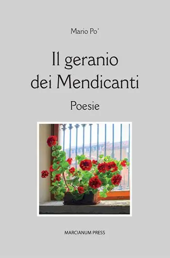 Il geranio dei mendicanti Esclusivo