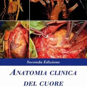 Anatomia clinica del cuore Solo Oggi