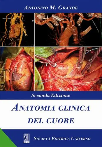 Anatomia clinica del cuore Solo Oggi