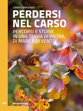 Perdersi nel Carso. Percorsi e storie in una terra di pietra, di mare e di vento Ultima Occasione