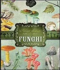 Atlante illustrato dei funghi Bestseller