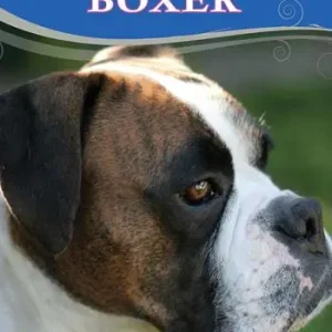 Reso Gratuito Boxer