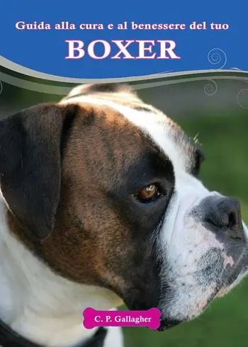 Reso Gratuito Boxer