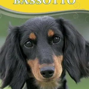 Prezzo Di Fabbrica Bassotto