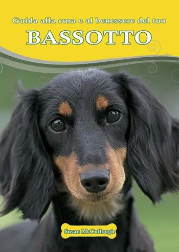 Prezzo Di Fabbrica Bassotto