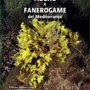 Alghe e fanerogame del Mediterraneo. Ediz. illustrata Offerta Lampo