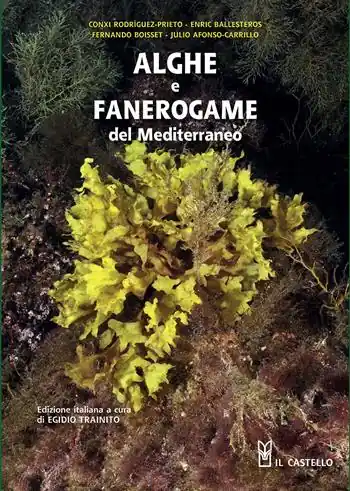 Alghe e fanerogame del Mediterraneo. Ediz. illustrata Offerta Lampo