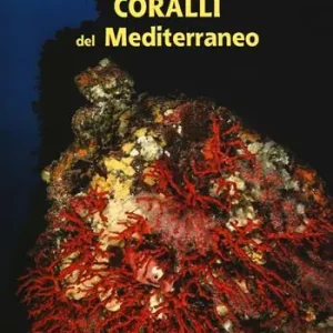 Nuovo Arrivo Coralli del Mediterraneo