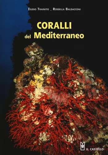 Nuovo Arrivo Coralli del Mediterraneo