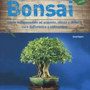 Bonsai. Ediz. illustrata Nuova Collezione