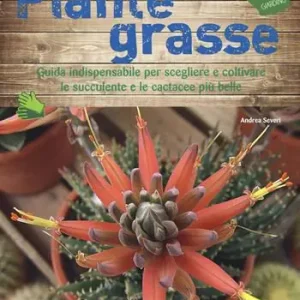 Piante grasse Occasione