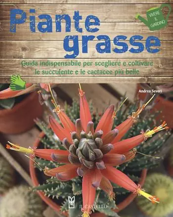 Piante grasse Occasione