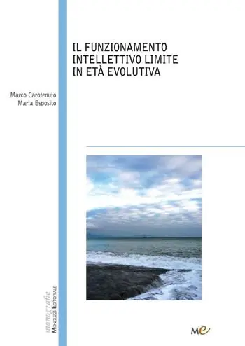 Il funzionamento intellettivo limite in età evolutiva Sconto