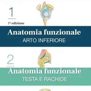 Anatomia funzionale Offerta
