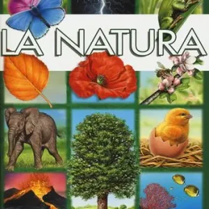 La natura. Ediz. a colori Nuovo Arrivo