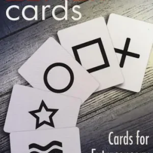 Esclusivo Zener cards. Ediz. multilingue. Con Carte