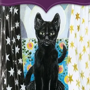 Mini tarot of pagan cats. Ediz. multilingue Compra Adesso