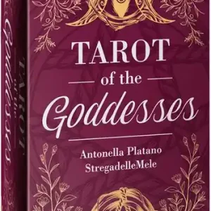 Tarot of the goddesses. Ediz. multilingue Soddisfatti O Rimborsati
