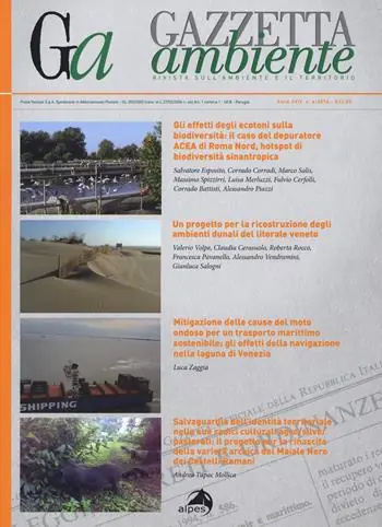 Gazzetta ambiente. Rivista sull‘ambiente e il territorio (2018). Vol. 6 Must-Have