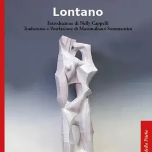 Consegna Rapida Lontano