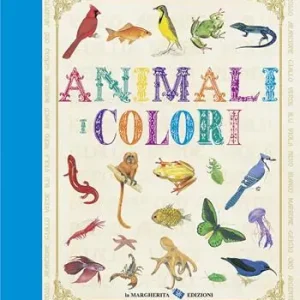 Direttamente Dal Produttore Animali. I colori. Ediz. illustrata