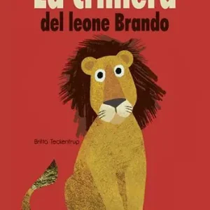 La criniera del leone Brando Offerta Limitata