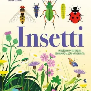 Offerta Speciale Insetti. Minuscoli ma essenziali, scopriamo la loro vita segreta