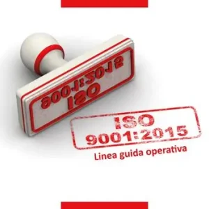Must-Have UNI EN ISO 9001 2015. Linea guida operativa