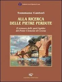 Alla ricerca delle pietre perdute. Il restauro delle lapidee del Ponte Clemente di Cesena Prezzo Di Fabbrica