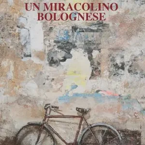 Un miracolino bolognese Occasione Imperdibile