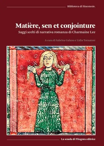 Offerta Lampo Matiere, sen et conjointure. Saggi scelti di narrativa romanza di Charmaine Lee