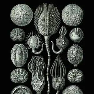 Metafisica cancerosa e altre leggi di filosofia abiotica Compra Adesso