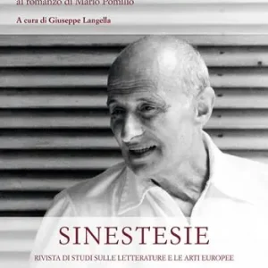 Sinestesie. Rivista di studi sulle letterature e le arti europee (2023). Vol. 28 Il dramma della teodecea. «Il Natale del 1833» dall‘epicedio manzoniano al romanzo di Mario Pomilio Più Venduto
