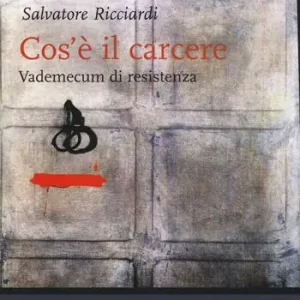 Cos‘è il carcere. Vademecum di resistenza Offerta Limitata