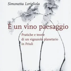 Affare È un vino paesaggio. Pratiche e teorie di un vignaiolo planetario in Friuli