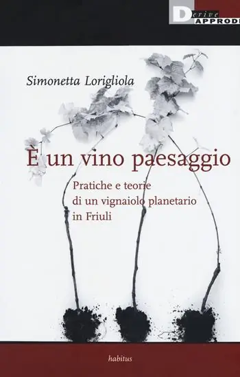Affare È un vino paesaggio. Pratiche e teorie di un vignaiolo planetario in Friuli