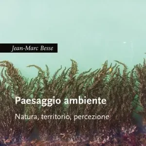 Compra Online Paesaggio ambiente. Natura, territorio, percezione