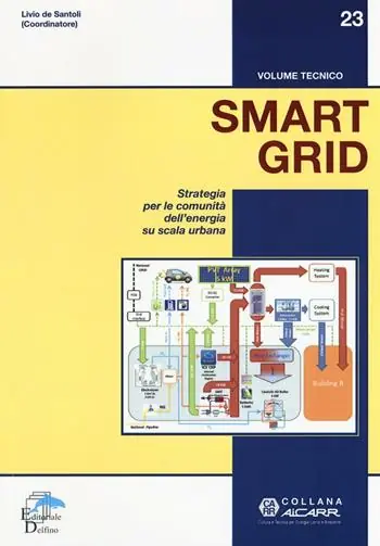 Smart grid. Strategia per le comunità dell‘energia su scala urbana Spedizione Espresso