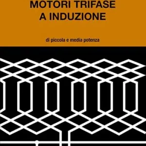 Direttamente Dal Produttore Motori trifase e induzione. Di piccola e media potenza