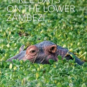 Three days on the lower Zambezi. Ediz. illustrata Più Venduto