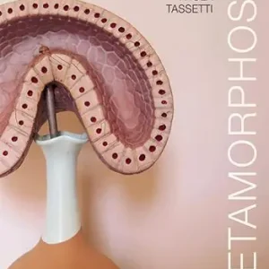 Prezzo Di Fabbrica Paola Tassetti. Metamorphosis. Ediz. italiana e inglese