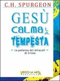 Gesù calma la tempesta. La potenza dei miracoli di Cristo Professionale