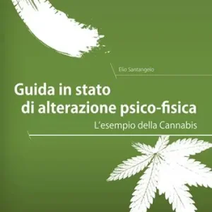Guida in stato di alterazione psico-fisica. L‘esempio della Cannabis Saldi